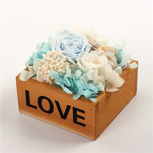 ƽrrľl(wi)ove\{(ln)