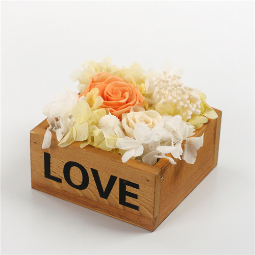 I̫ƽ^rrľloveS
